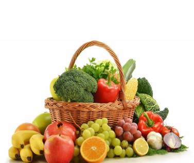 VEGETABLES EXPORT